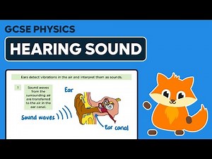 Hearing Sound - GCSE Physics