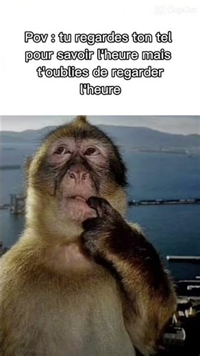3 mars 2026