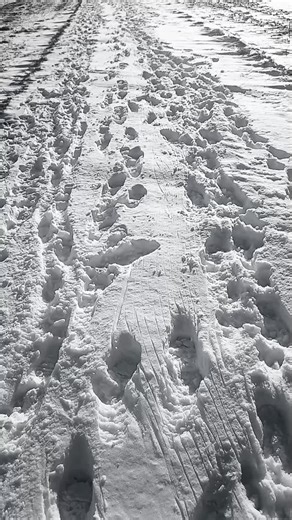 Apap (@apap524)’s videos with Originalton - Apap