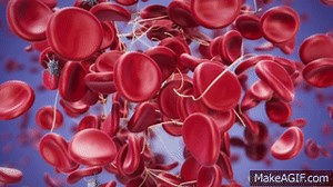 Blood Clot Formation - Coagulation Factors & Platelets on Make a GIF