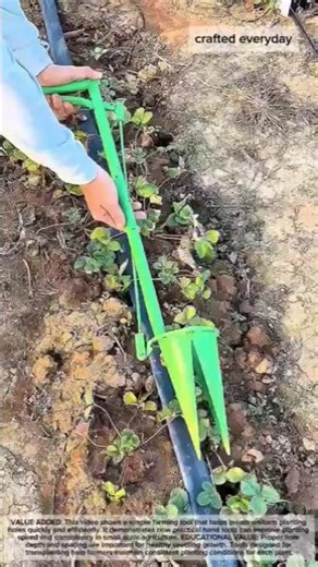 Manual Seedling Hole Digger for Quick Planting in the Field #farming