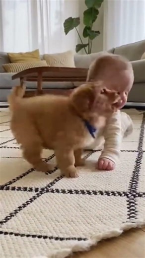 Baby & Puppy Heart-Melting Moments ❤️🐾😅✨