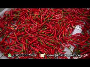 How to Make Chilli Powder from Fresh Chillies? Chili powder line