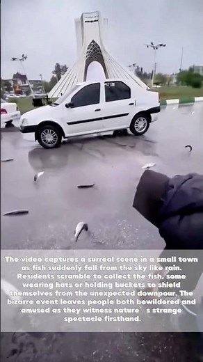 Fish Rain Chaos: A Bizarre Weather Phenomenon in a Small Town