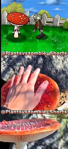 The Fly Agaric 🍄 Edits #pvz #plantsvszombies