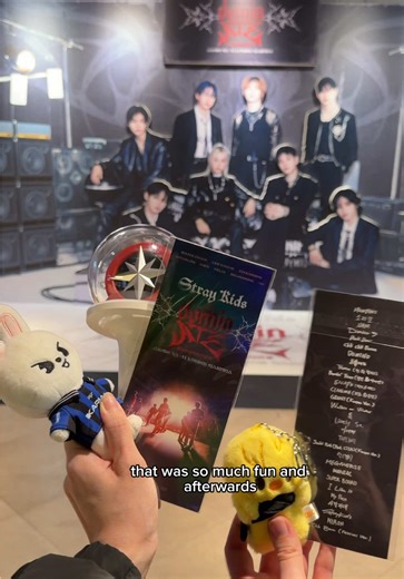 Stray Kids Movie Sing-Along Vlog Experience