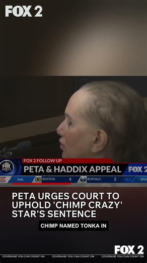 Chimp Crazy star Tonya Haddix back in court