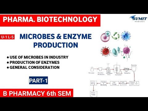 Use of Microbes in Industry | Enzyme Production, General Consideration | Unit-1 Biotechnology