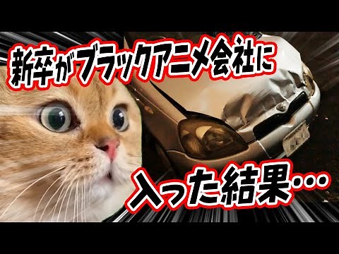 【猫ミーム】新卒がブラックアニメ会社に入った結果…《入社編》