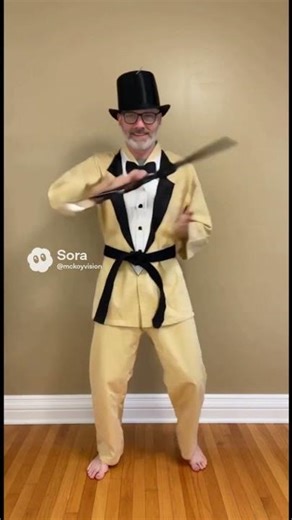 McDojo; Formal Wear #mcdojo #memes #funny #karate