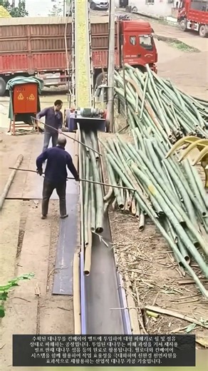 대형 파쇄기를 활용한 대나무 파쇄 가공 공정 #worker #workers