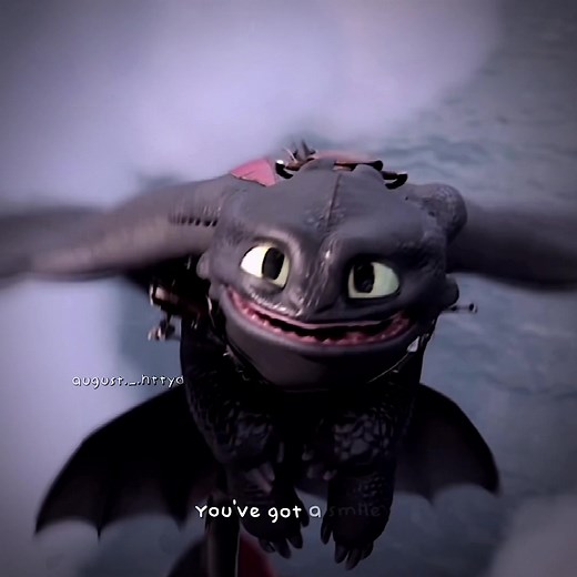 Smiling Toothless and Light Fury: HTTYD Dragon Pair