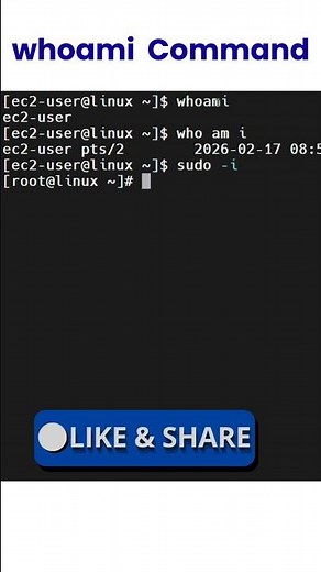 Linux whoami command tutorial for beginners #shorts