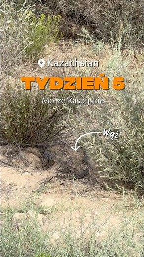Tydzień 5: Boicie się węży? 🐍 Lepiej tego nie oglądajcie. 😅