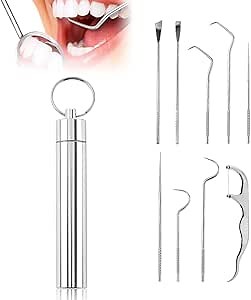 Stainless Steel Toothpick Set, Reusable Metal Toothpicks Cleaning Kit with Holder, Dental Picks Metal Dental Kit Oral Care Tools Toothpicks Pocket Set for Outdoor Picnic Camping Traveling (9Pcs/Set)