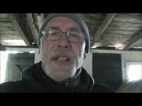 Lebendfalle selber gebaut :)