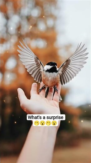 oh my goodness, what's this? 🤣😧