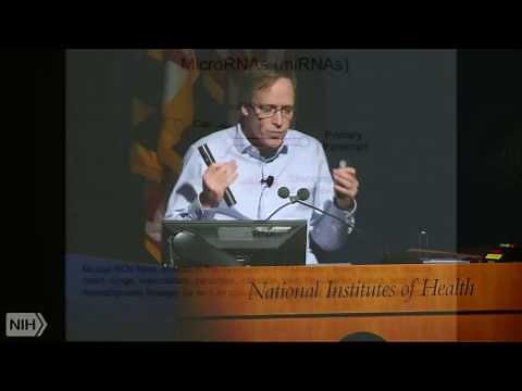 MicroRNAs and their regulatory effects