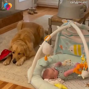 BESTIES: Watch the love between this newborn baby and dog evolve over the span of one year. | The Uplift