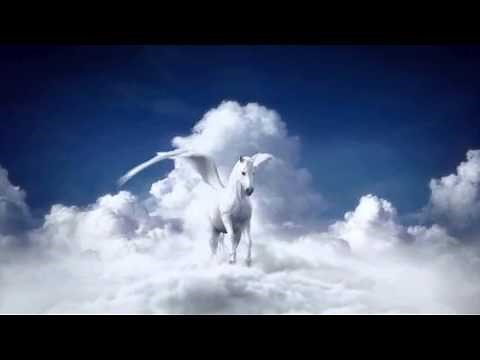 Tristar Logo 2015 without the Sony Logo Full Open Matte