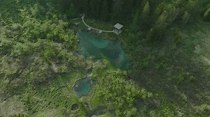 「スロベニアのクランジスカ・ゴラにあるゼレンチ自然保護区の遊歩道を持つ山の湿地の上空。空撮」の動画素材（ロイヤリティフリー）1101232775 | Shutterstock