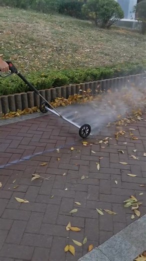 Efficient Leaf Blower Use for Clearing Walkways