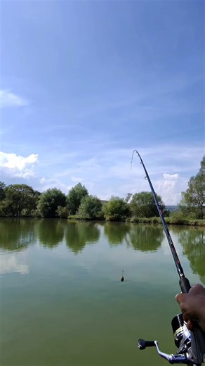 #fishing #pescuit #catchandrelease #fishinglife #feederfishing | Daniel Santa Fishing