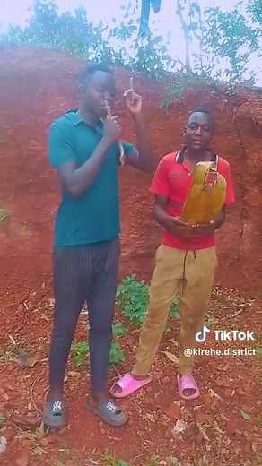 Kirehe District (@kirehe.district)’s videos with original sound - mune_group.com