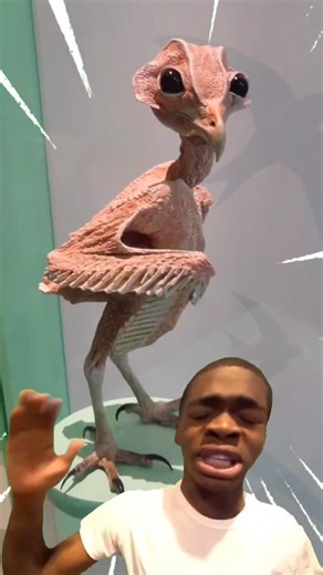 Animal with no Fur!! #shorts #memes