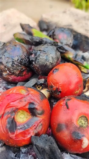 abhishek cooking Channel on Instagram: "Onion 🧅 Tomato 🍅 Chili 🌶️ Bharta |#Viral #Trading"