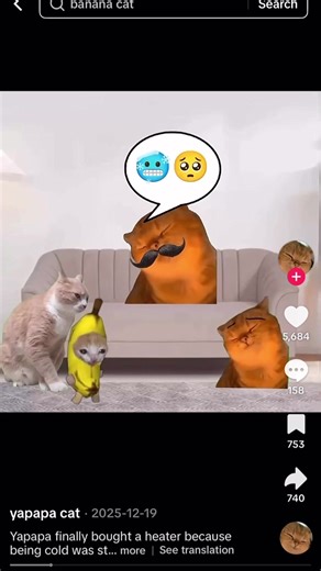 Yapapa #yapapa #cat #viral #fyp #funny | tiktok cat