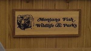 FWP alerts hunters to carefully identify game birds, don't shoot sharp-tailed grouse