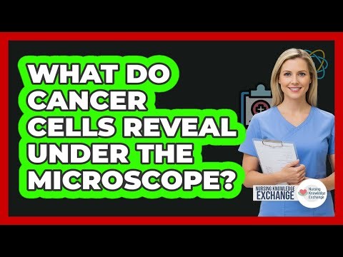 What Do Cancer Cells Reveal Under The Microscope? - Nursing Knowledge Exchange
