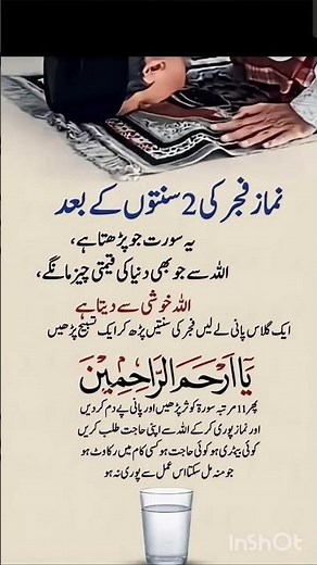 القرآن #سورة_الإخلاص #سورة_الفلق #سورة_الناس #سورة_الكوثر #سبحان_الله #ما_شاء_الله #ذكر #طمأنينة