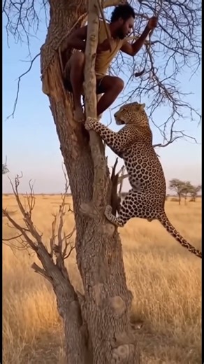 Leopard Attack AFRICAN TRIBE MAN?! #tribepeople #africanlife #lion #sora2