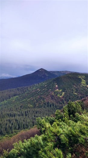 Чорногора 12.06.2021