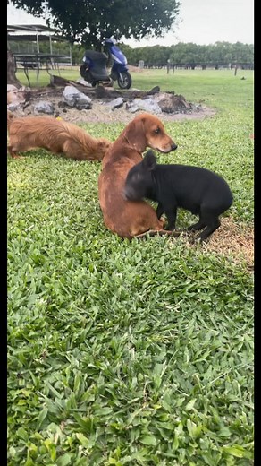 Britney Gallagher (@britgallagherr)’s videos with original sound - Britney Gallagher