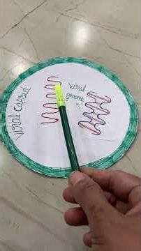 Biological puzzle, a virus structure of a virus