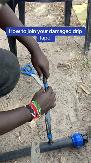Drip irrigation set up