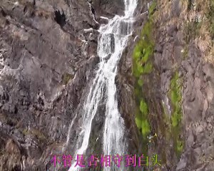 忧伤华尔兹（视频制作：姜玉川）