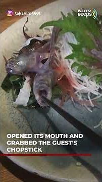 Viral Video: Fish Served At Japanese Restaurant Grabs Chopstick