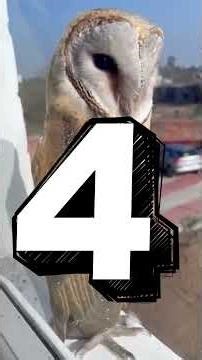 3 दिल वाला जानवर 😱 | Top 10 Animal Facts in Hindi | Real Facts