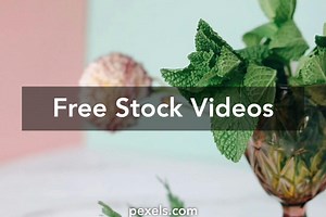 Mint Green Background Videos, Download The BEST Free 4k Stock Video Footage & Mint Green Background HD Video Clips