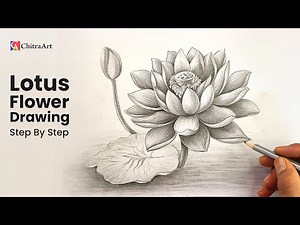 How To Draw Realistic Lotus Flower | Drawing with Pencil Shading Step By Step