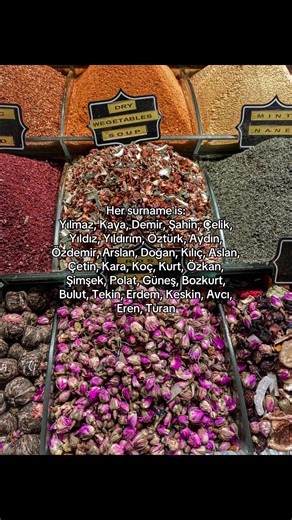 #🇹🇷 #turkey🇹🇷 #surname #turkishsurname #turkishgirl | aslan