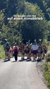 Dein erster Almabtrieb in Fügen🐄🍂 . . . #zillertal #welovezillertal #almabtrieb #tyrol #tradition | Zillertal.at