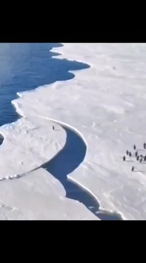 Татьяна Чех on TikTok