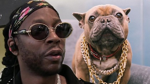 2 Chainz Mourns Death of Dog He 'Loved More Than Some People'