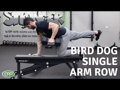 Bird Dog Single Arm Row