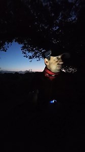 11K views · 523 reactions | Join me for this morning's dawn chorus   in the heart of the Knepp Wildlands. Today is international dawn chorus day #internationaldawnchourusday #dawnchourus #knepp #birdsong | Get Wild | Facebook